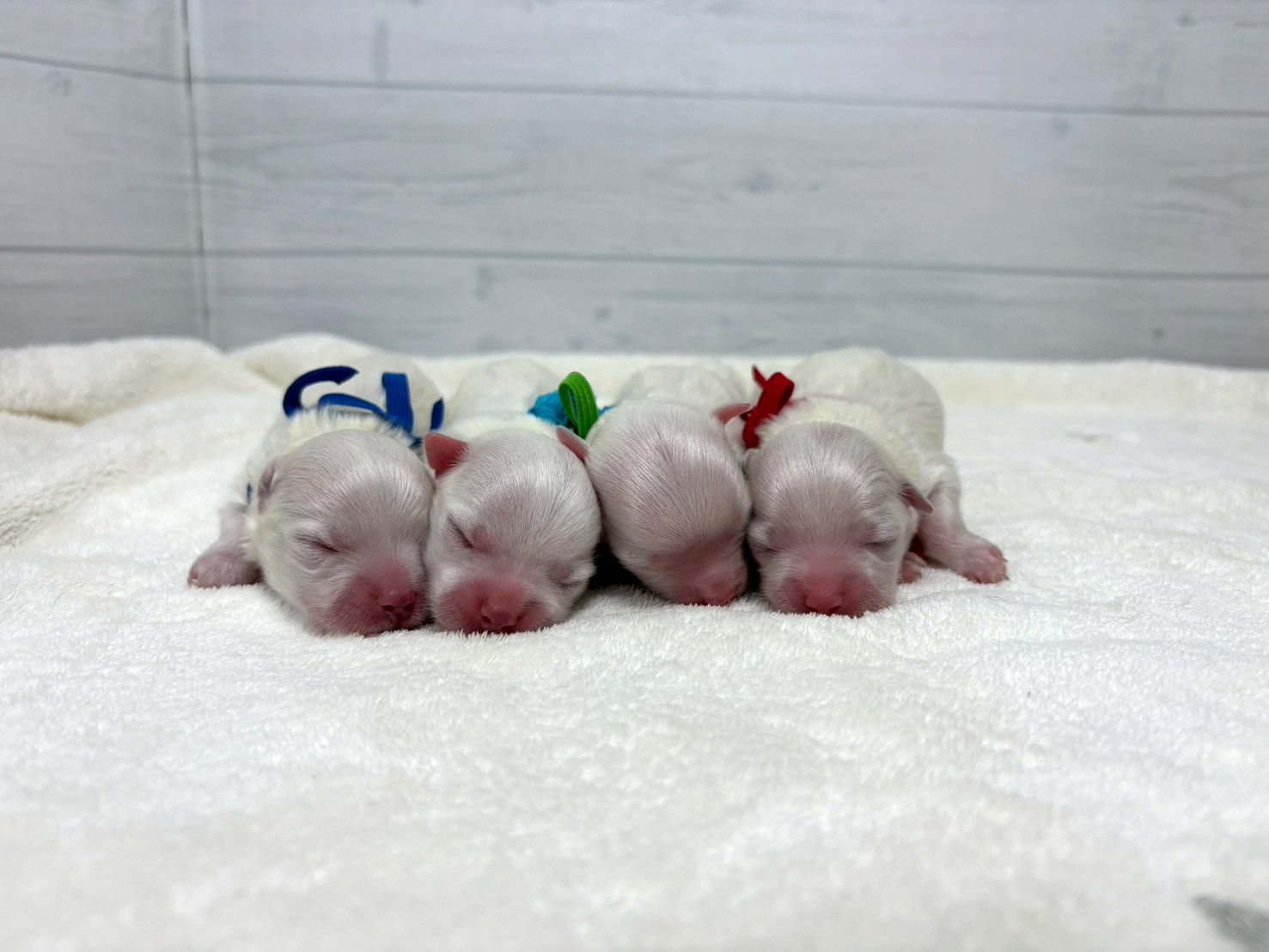 赤ちゃん写真1-3