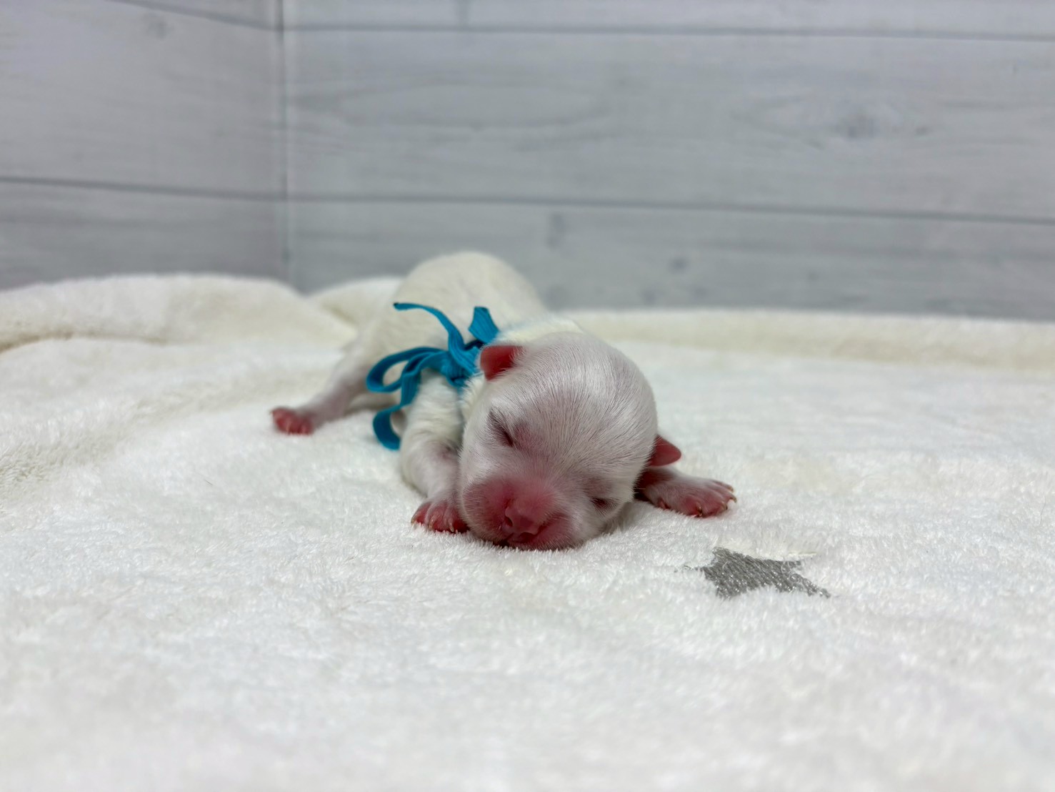 赤ちゃん写真1-1