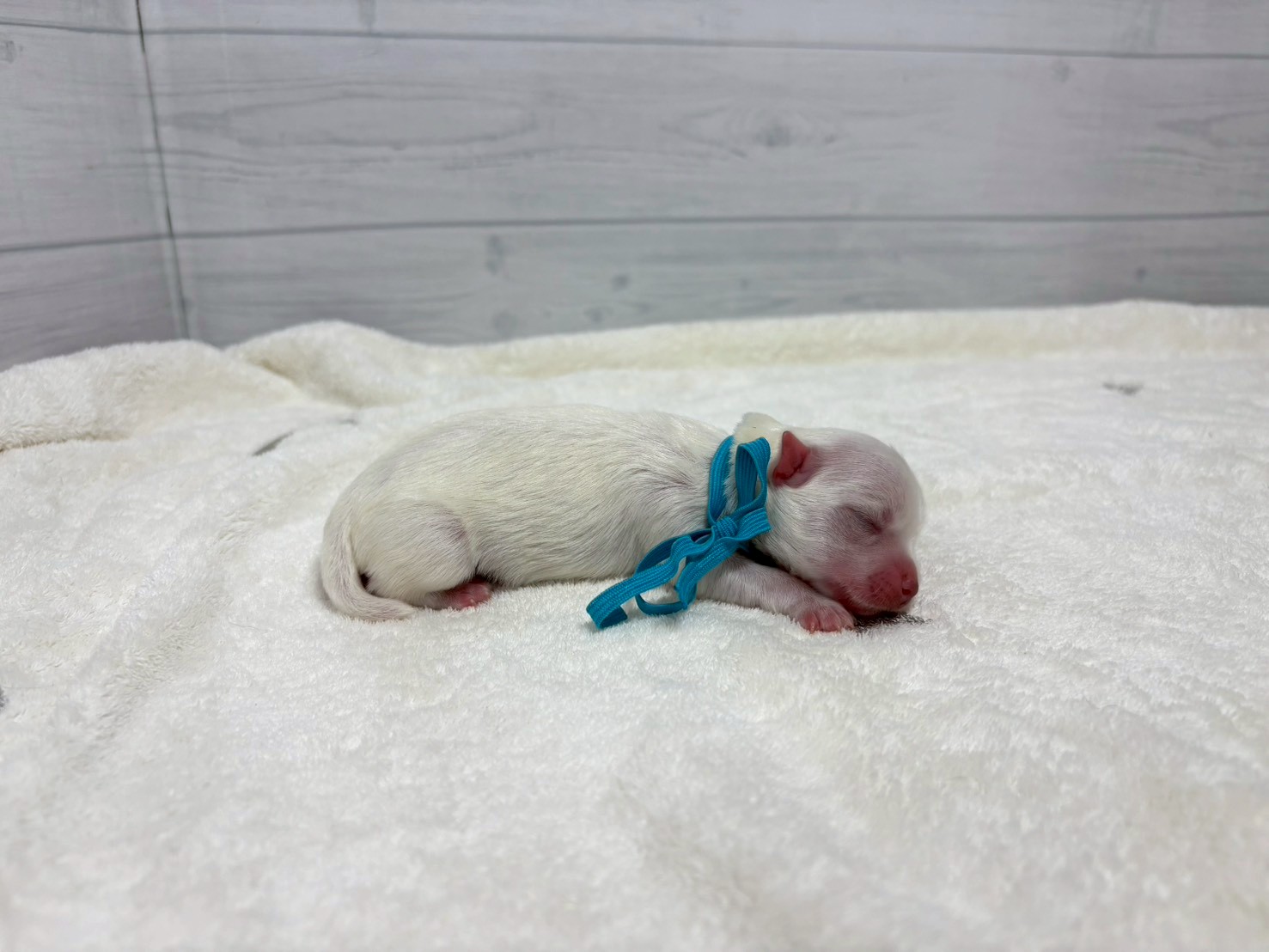 赤ちゃん写真1-2