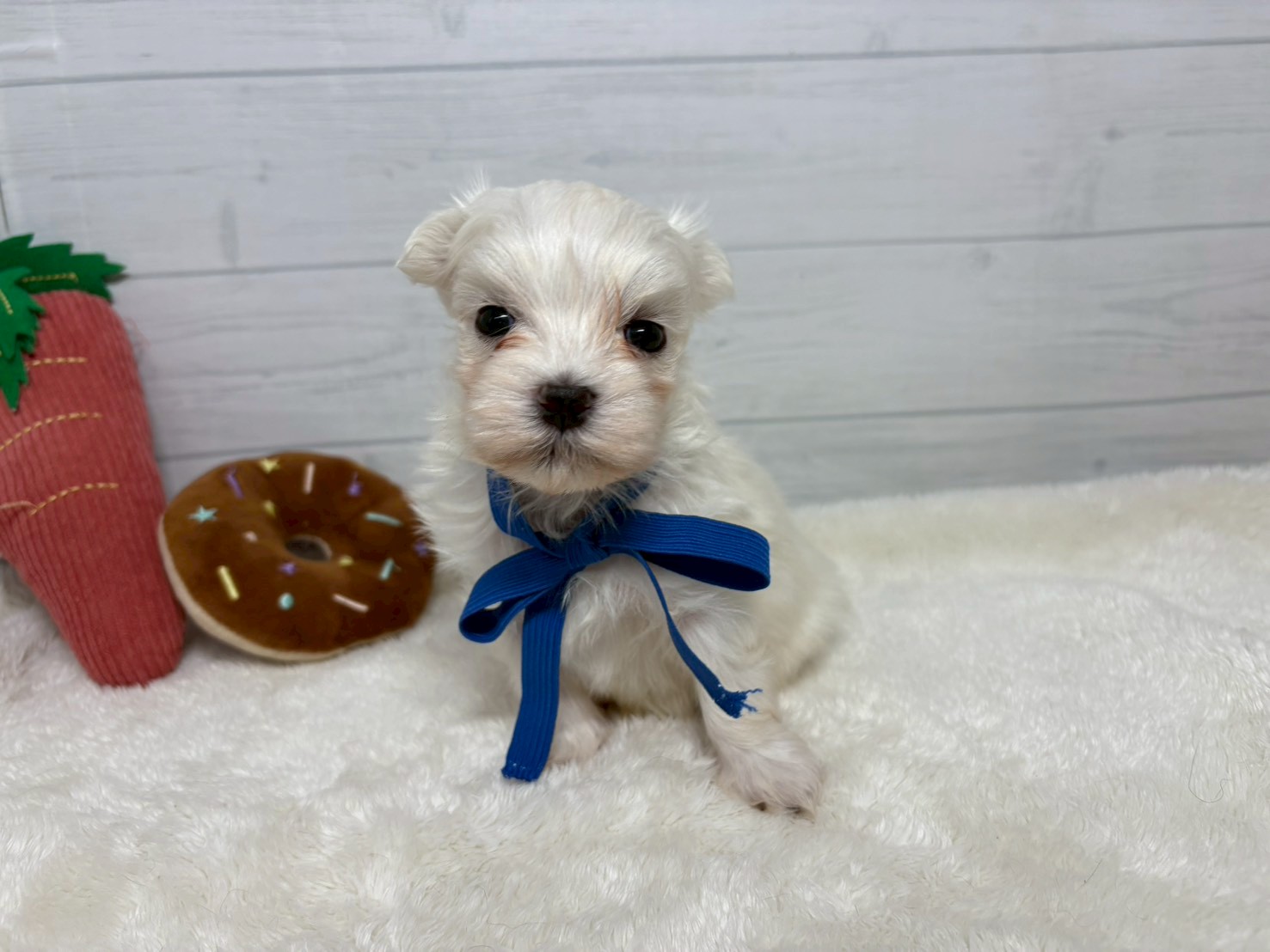 赤ちゃん写真2-1