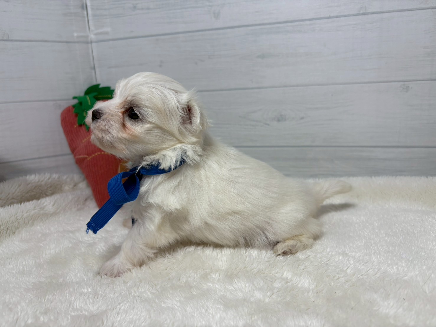 赤ちゃん写真2-2