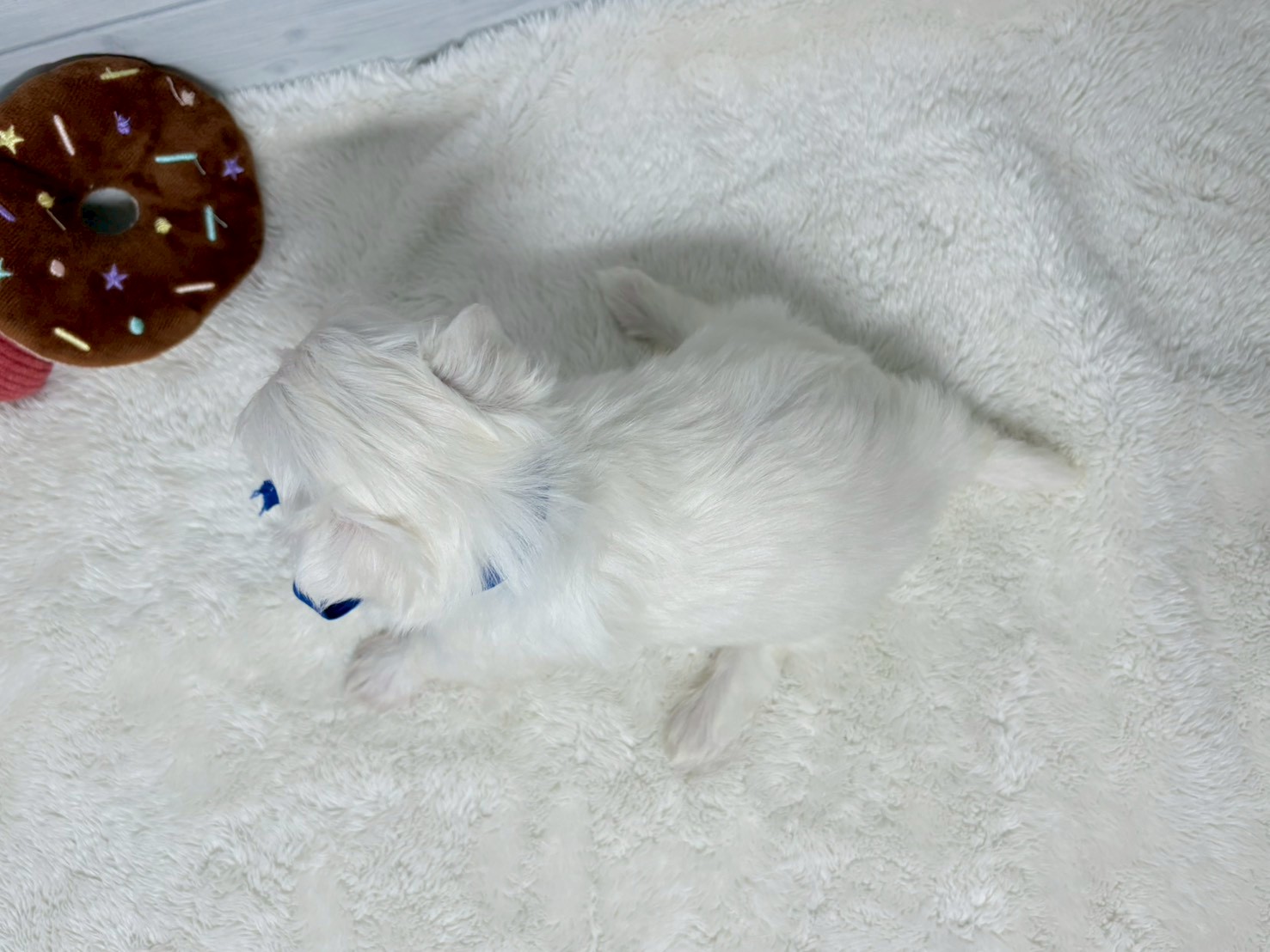 赤ちゃん写真2-3