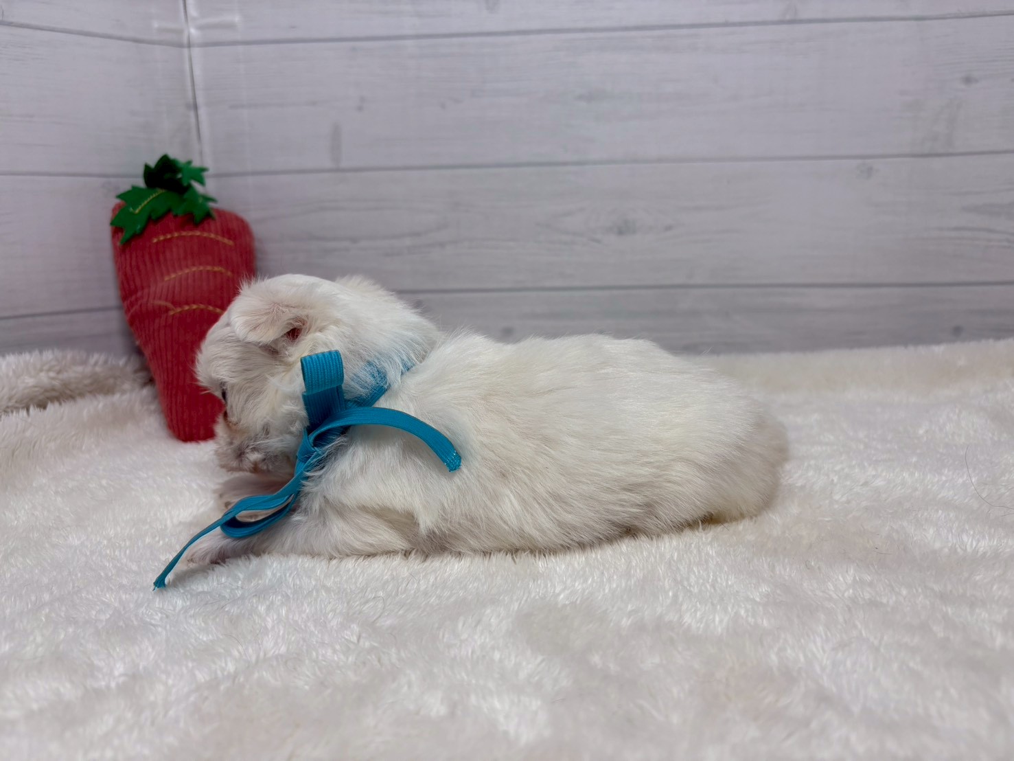 赤ちゃん写真2-2