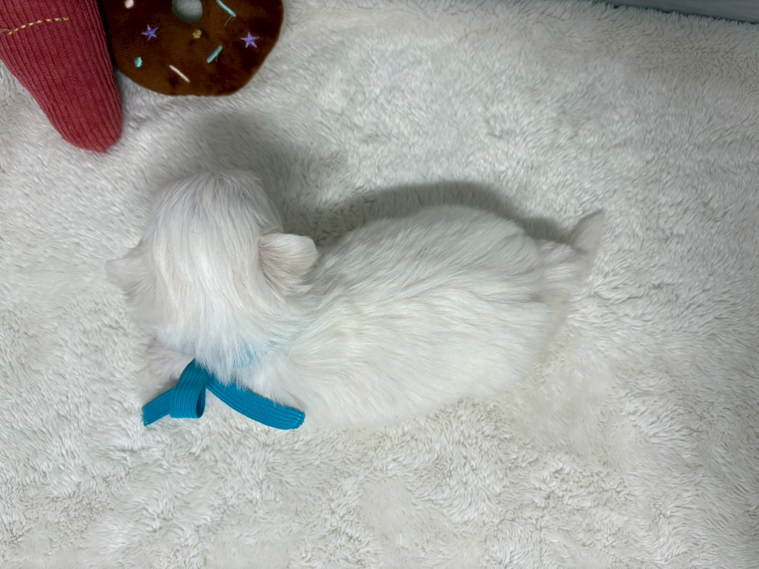 赤ちゃん写真2-3