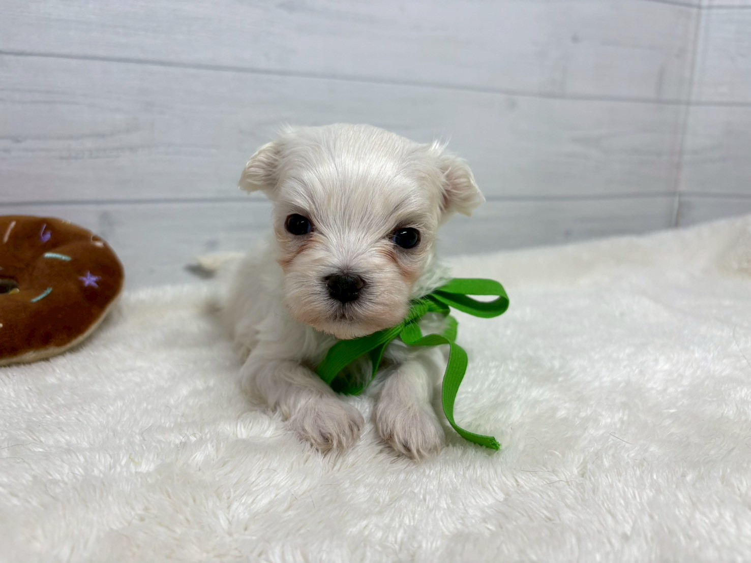 赤ちゃん写真2-1