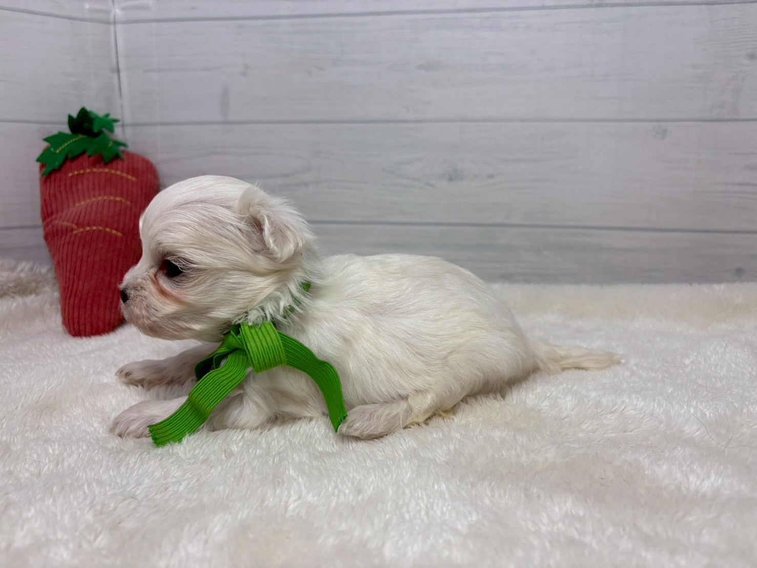 赤ちゃん写真2-2