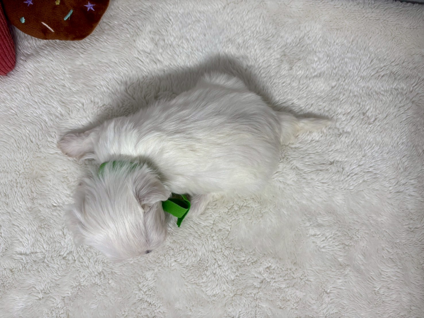 赤ちゃん写真2-3