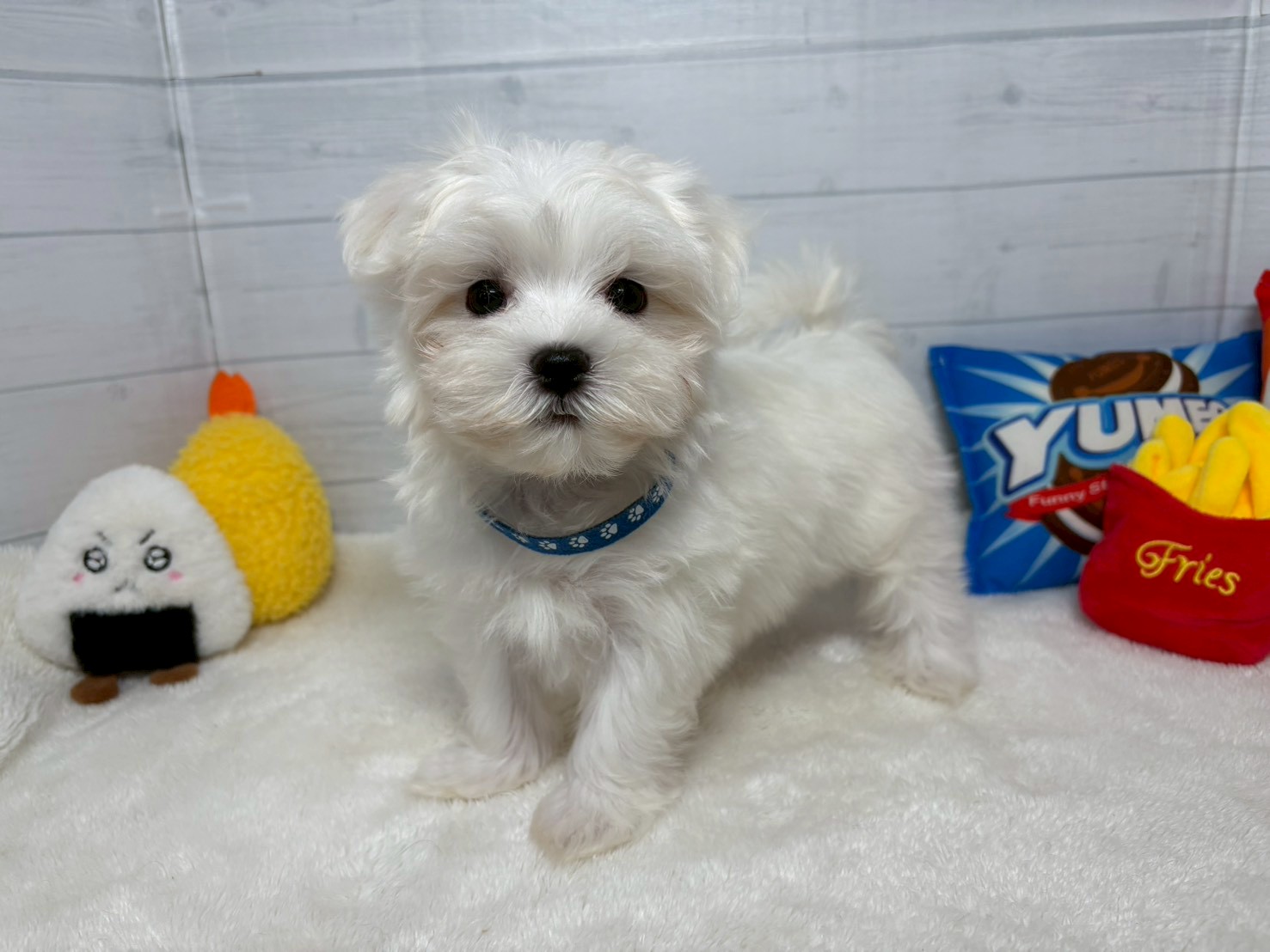 赤ちゃん写真3-1