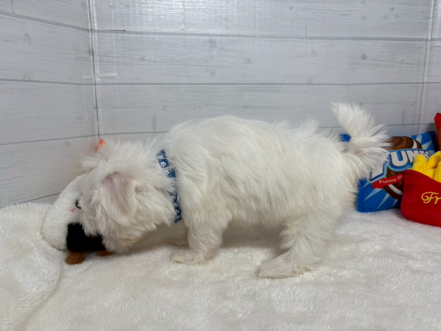 赤ちゃん写真3-3