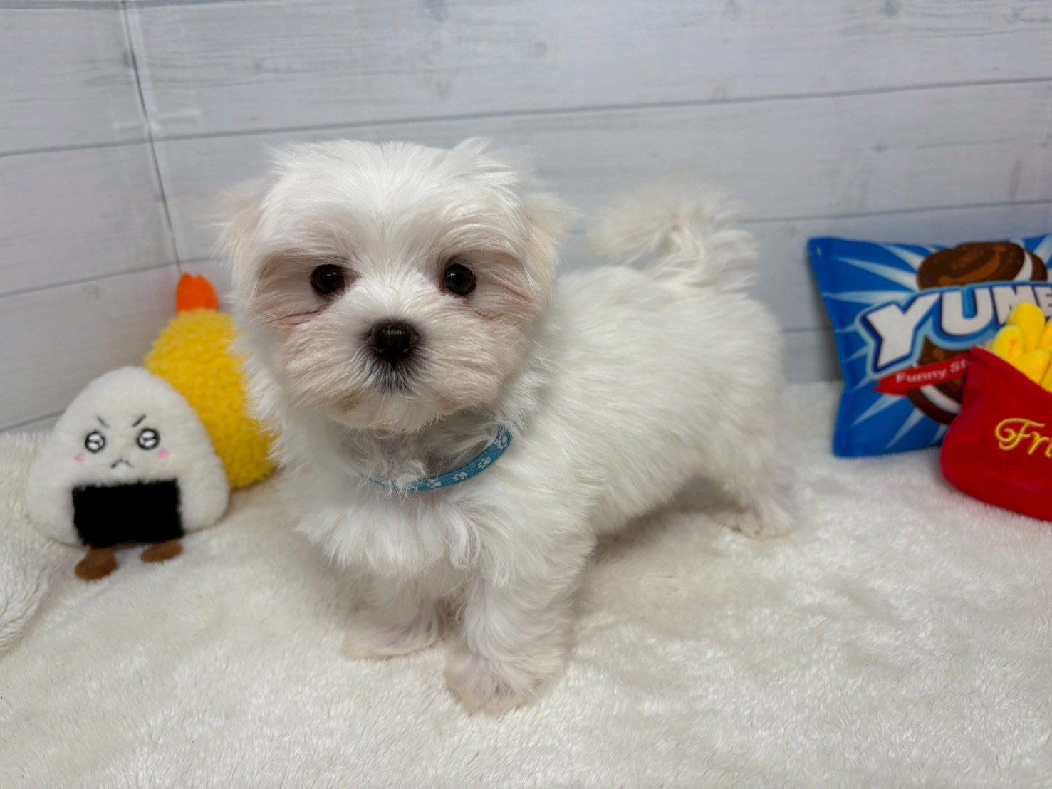 赤ちゃん写真3-1