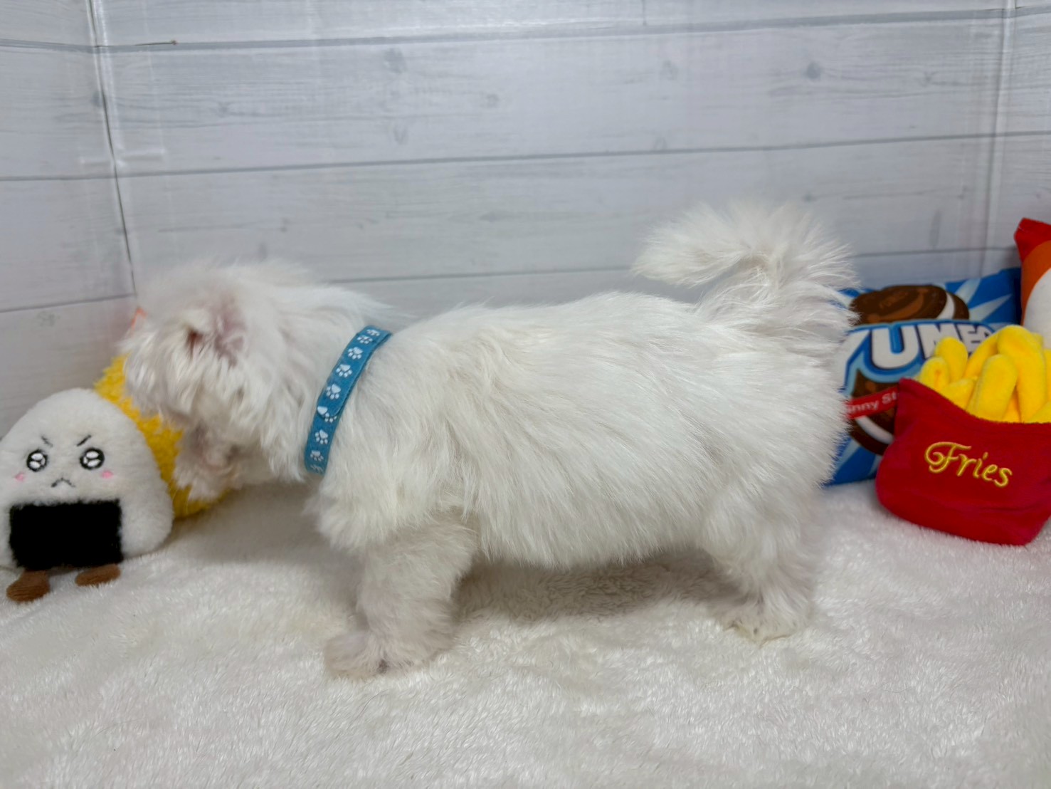 赤ちゃん写真3-2