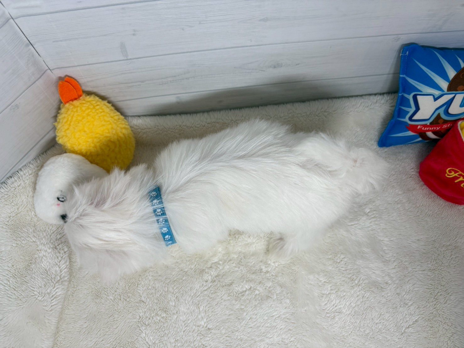 赤ちゃん写真3-3