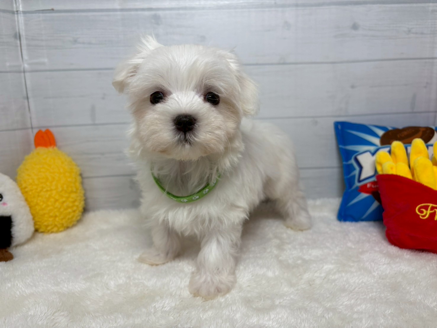 赤ちゃん写真3-1