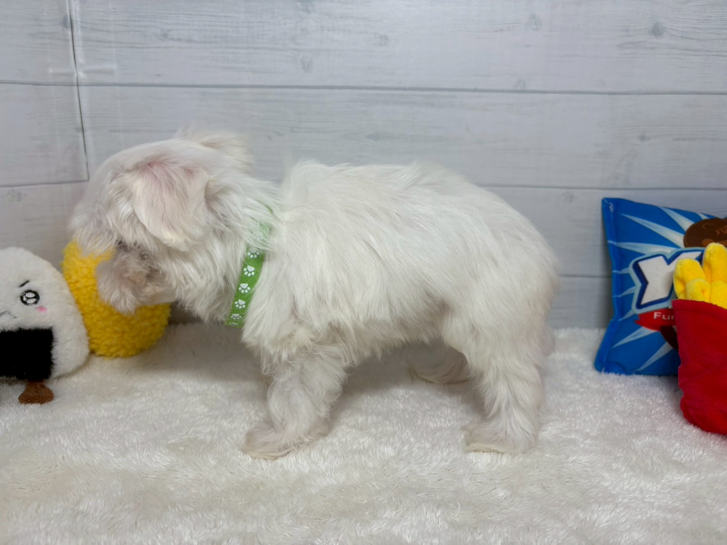 赤ちゃん写真3-2