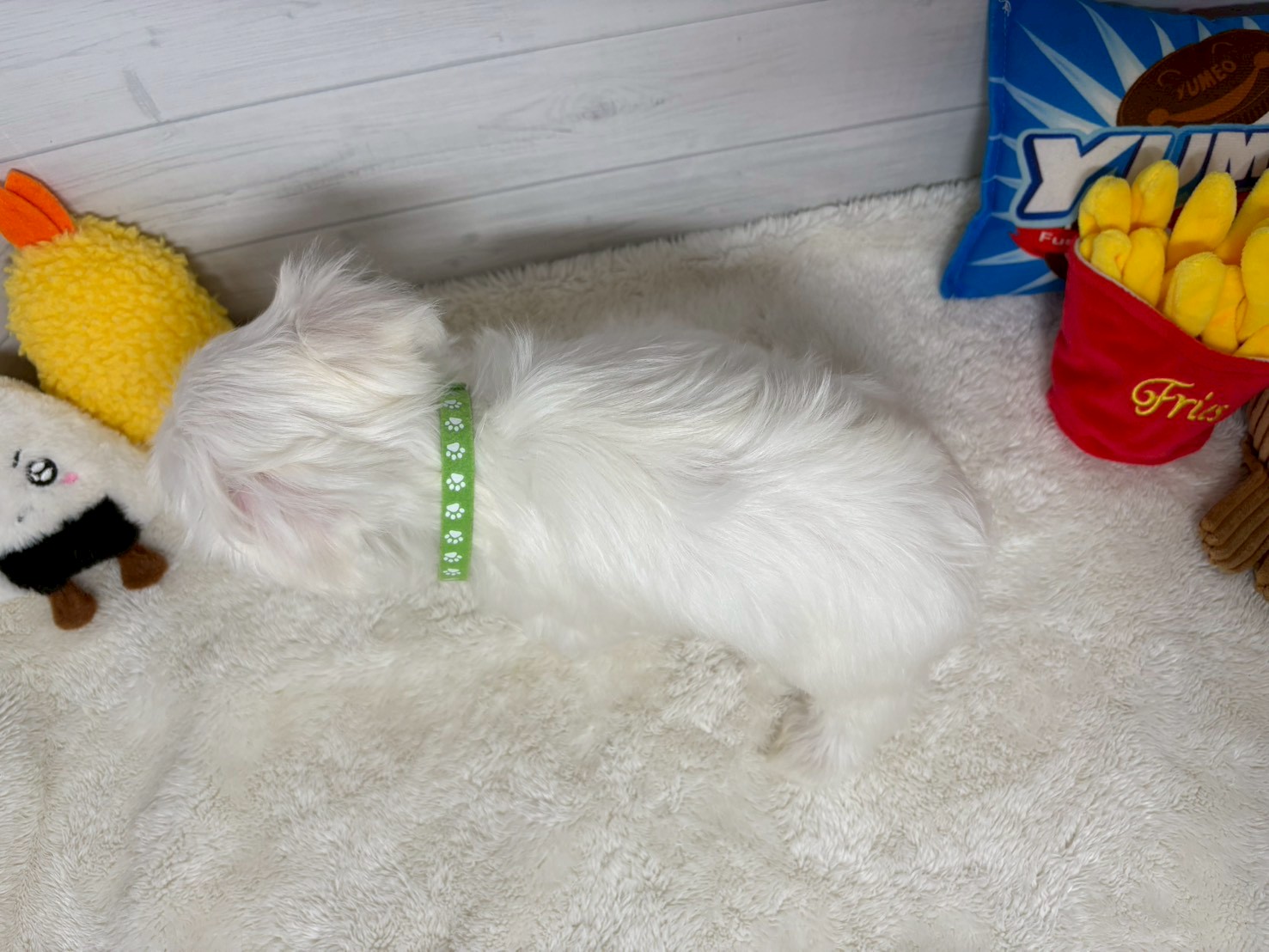 赤ちゃん写真3-3