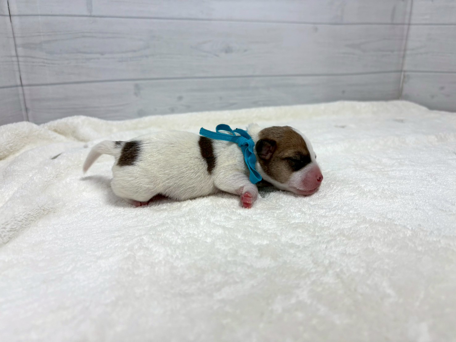 赤ちゃん写真1-2