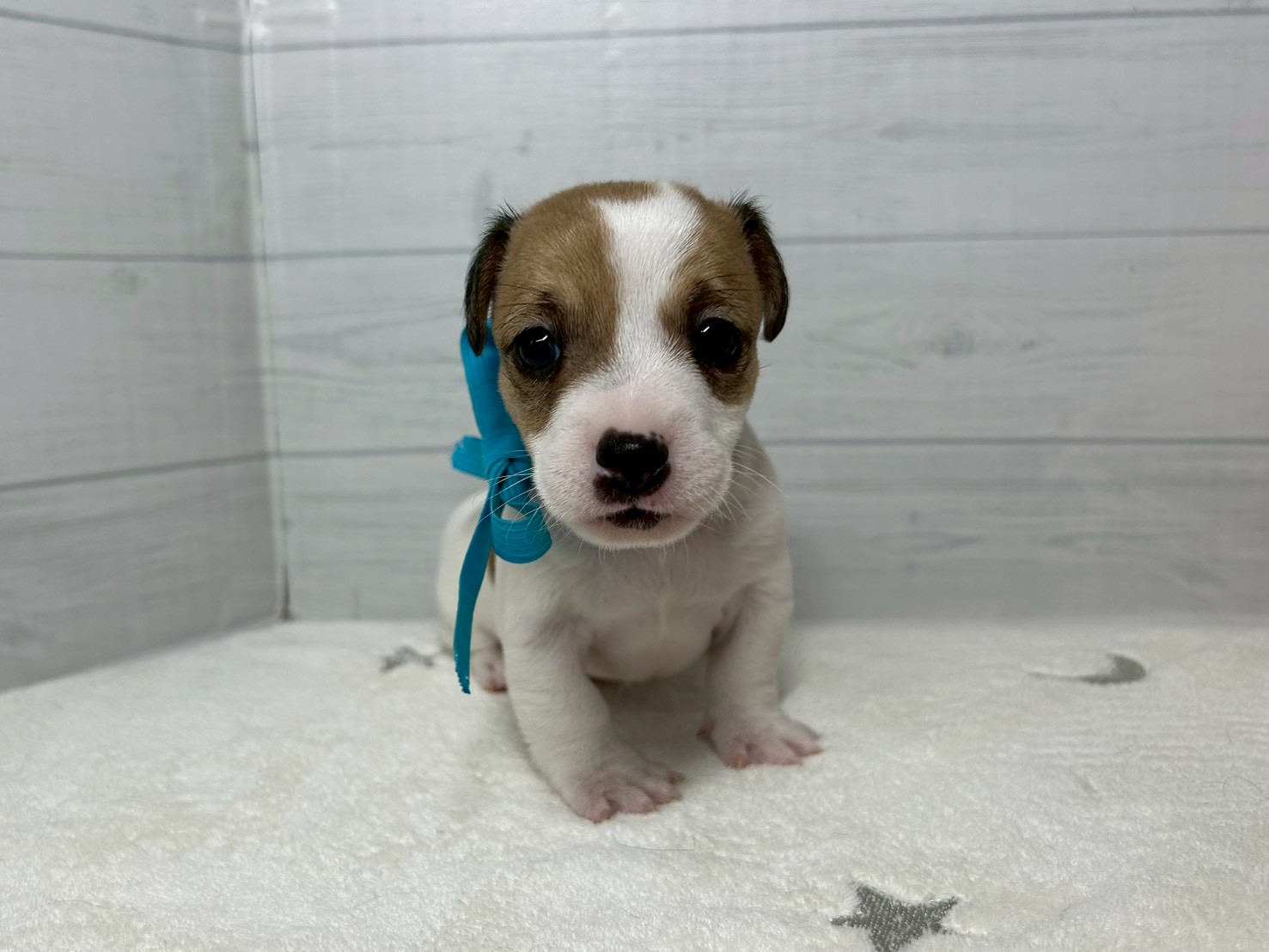 赤ちゃん写真2-1