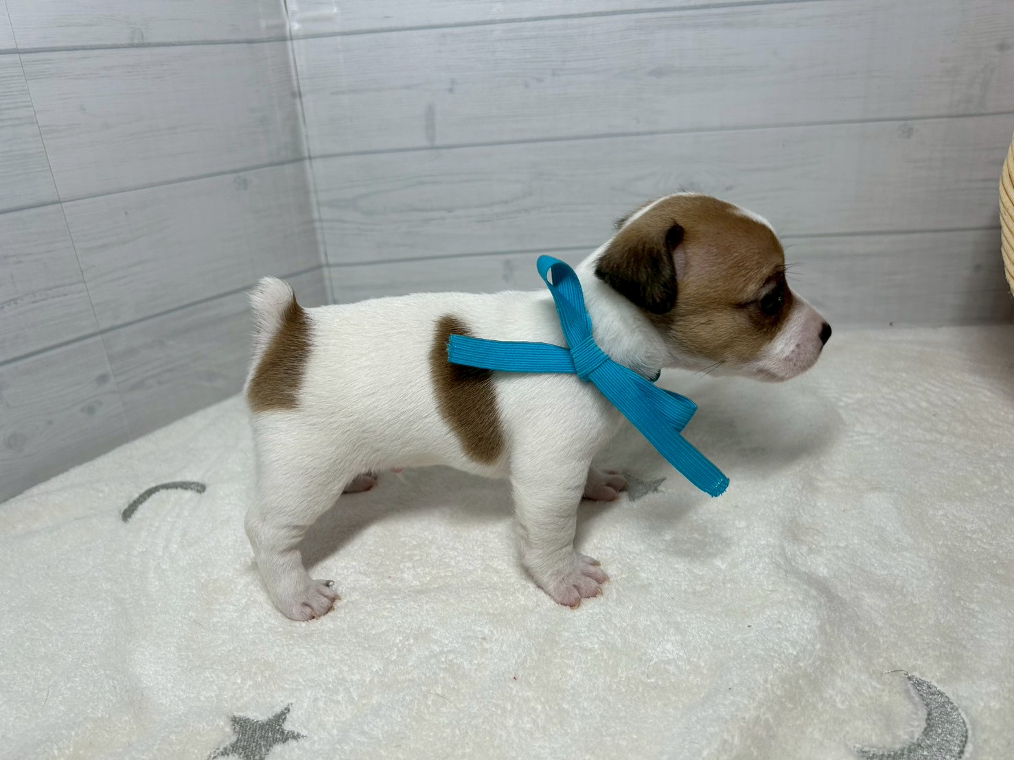 赤ちゃん写真2-2