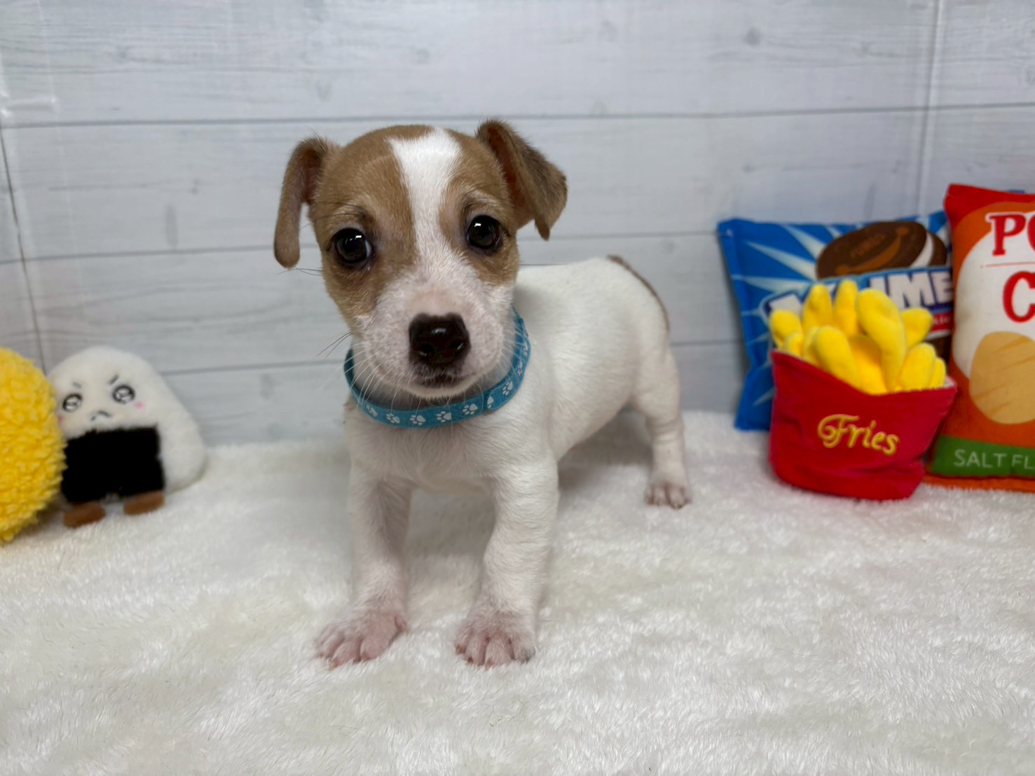 赤ちゃん写真3-1