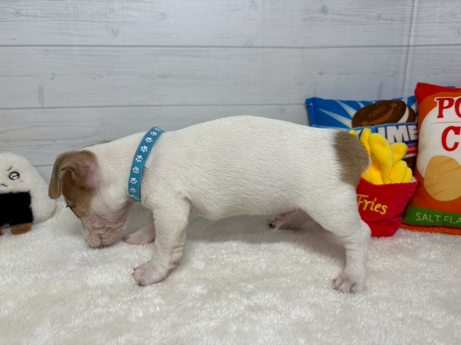 赤ちゃん写真3-2