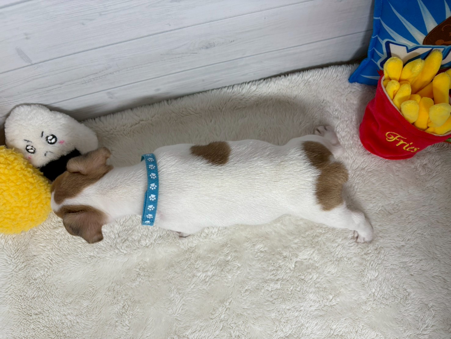 赤ちゃん写真3-3