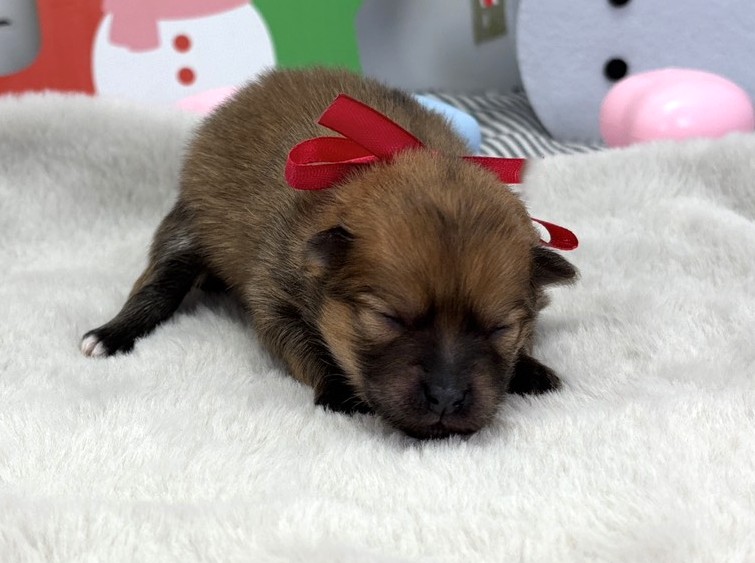 赤ちゃん写真1-1