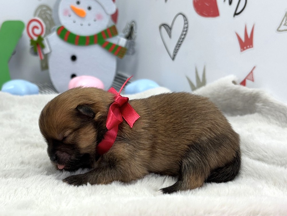 赤ちゃん写真1-2