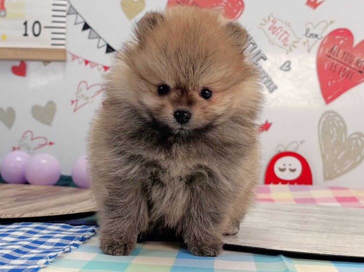 赤ちゃん写真2-1