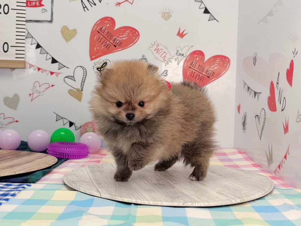 赤ちゃん写真2-2