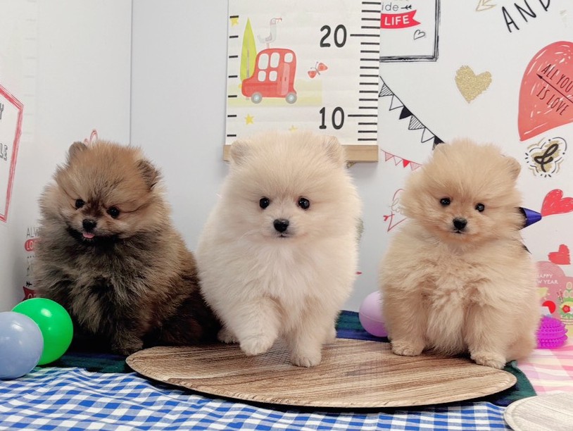 赤ちゃん写真2-3