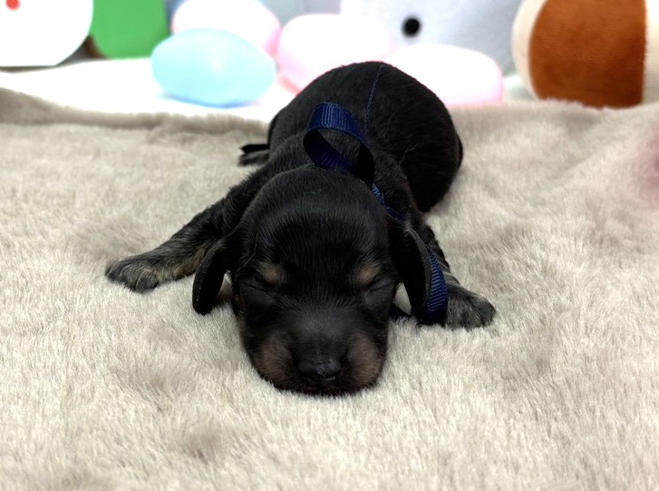 赤ちゃん写真1-1