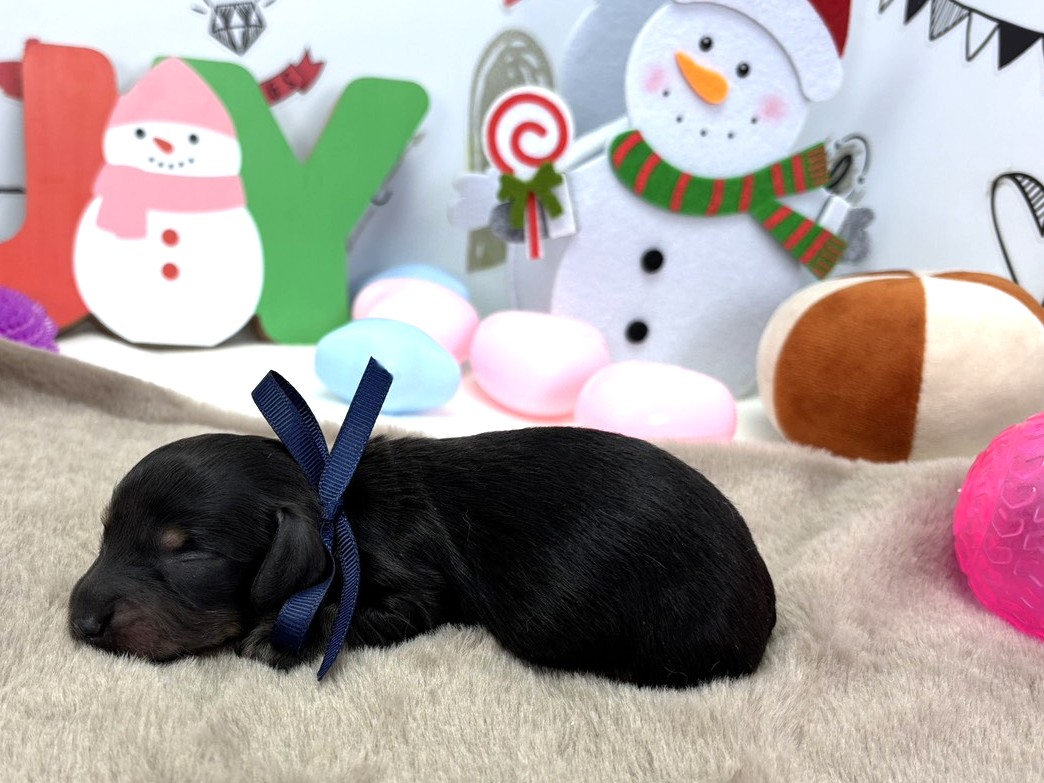 赤ちゃん写真1-2