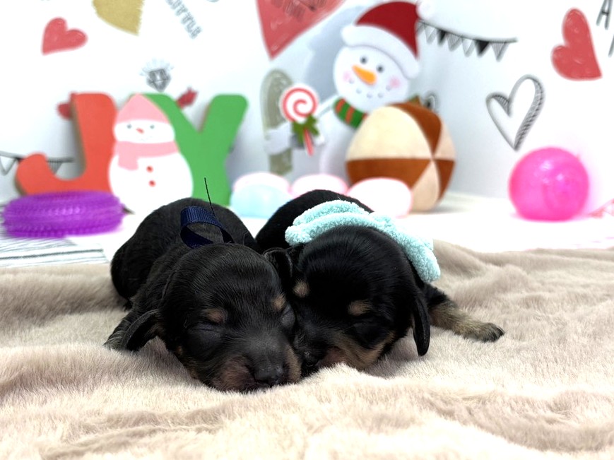 赤ちゃん写真1-3