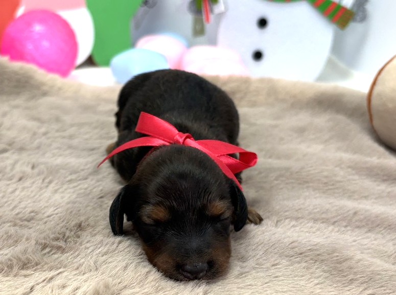 赤ちゃん写真1-1