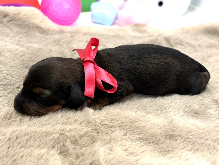 赤ちゃん写真1-2