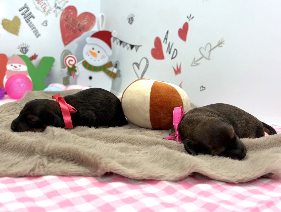 赤ちゃん写真1-3