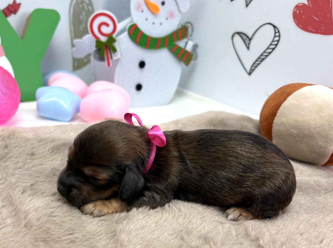 赤ちゃん写真1-2