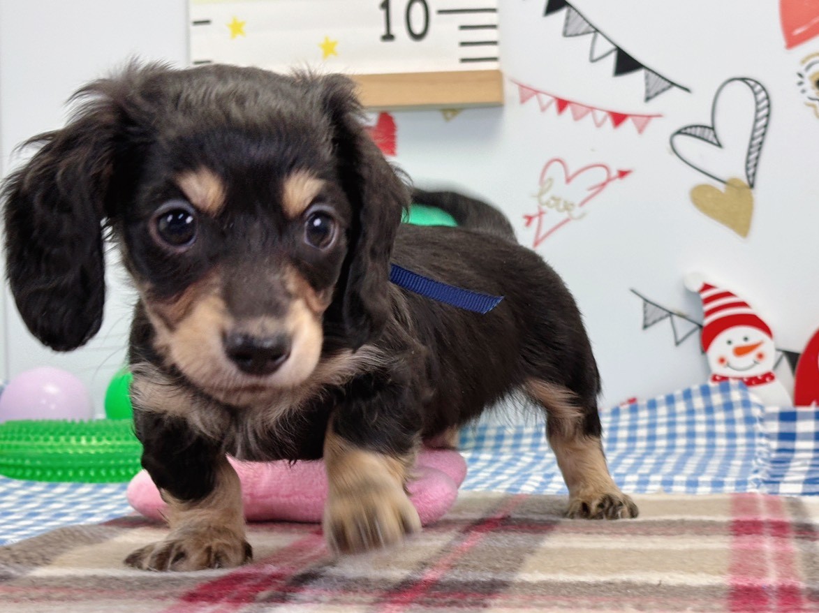 赤ちゃん写真2-1