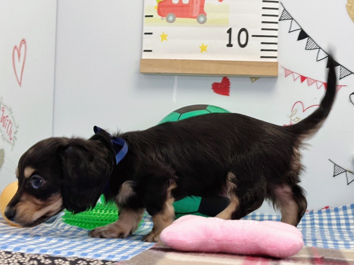 赤ちゃん写真2-2