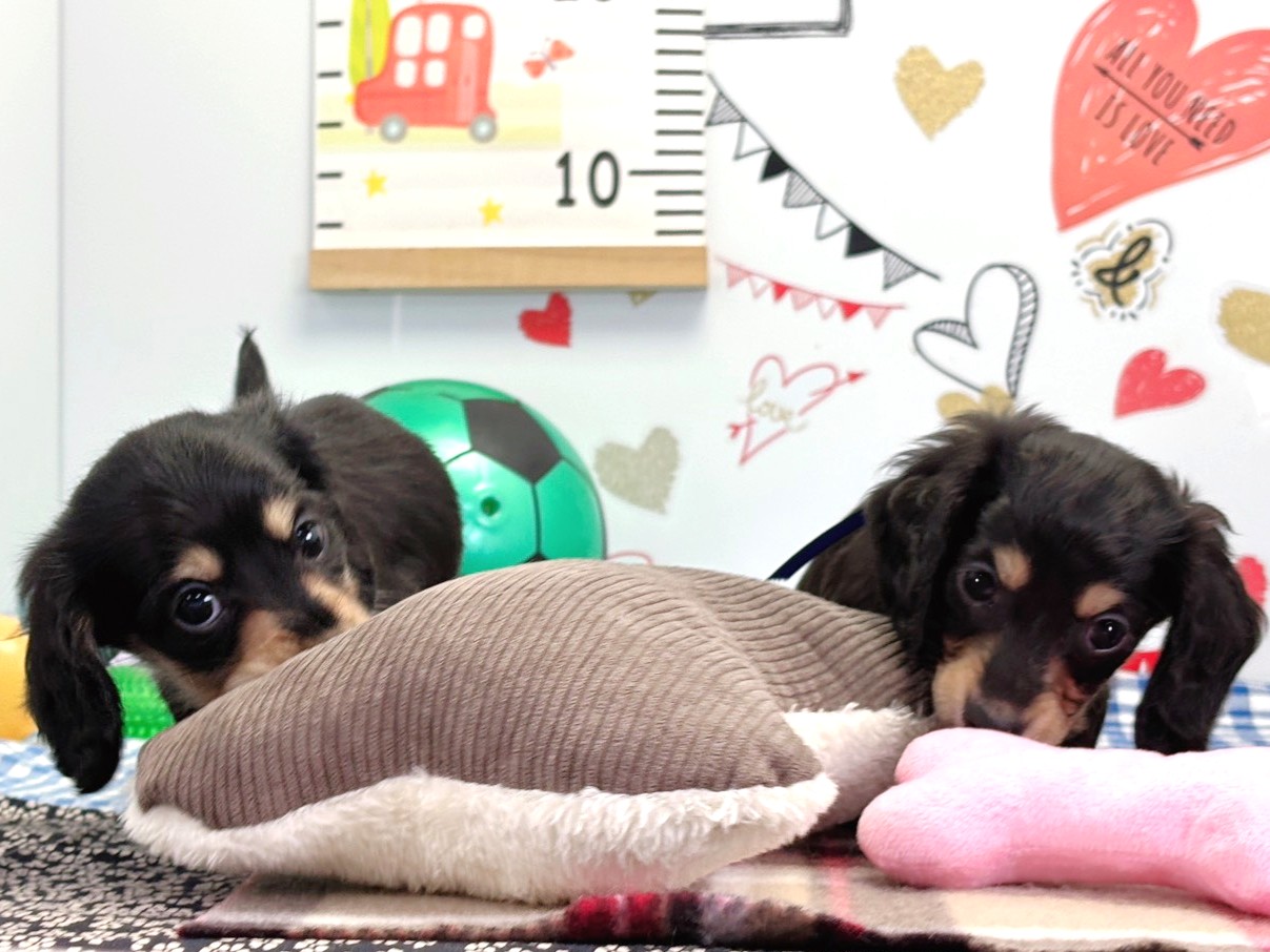 赤ちゃん写真2-3