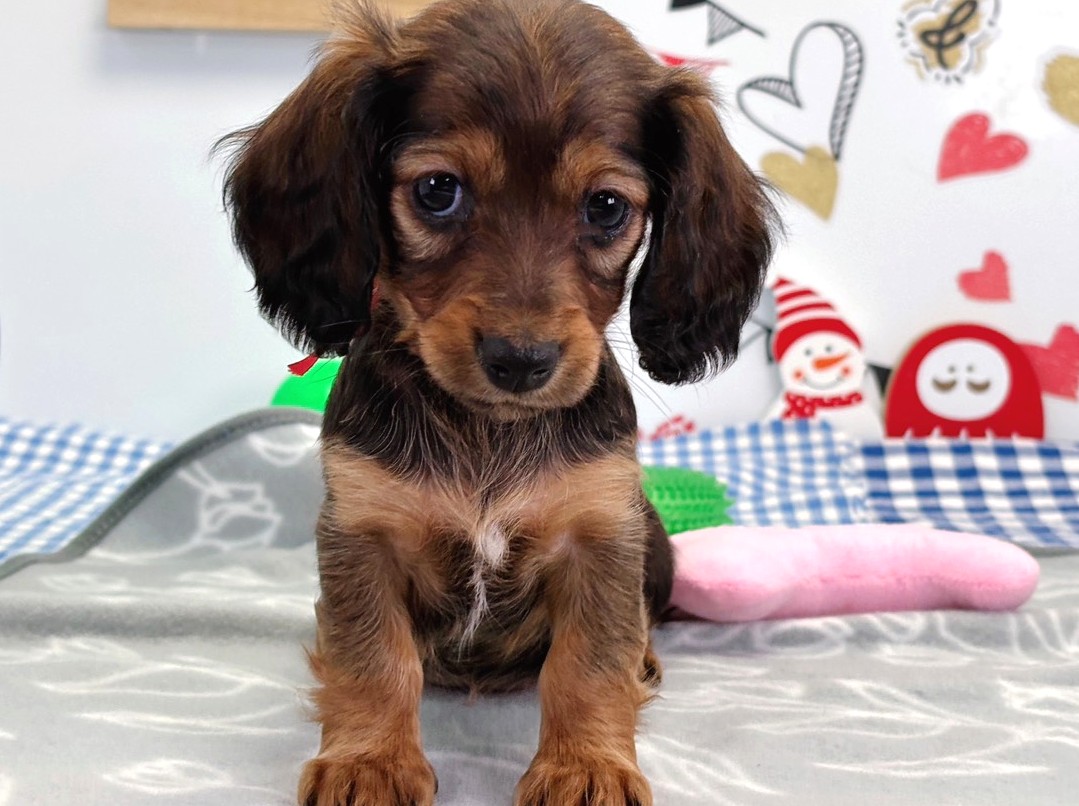 赤ちゃん写真2-1