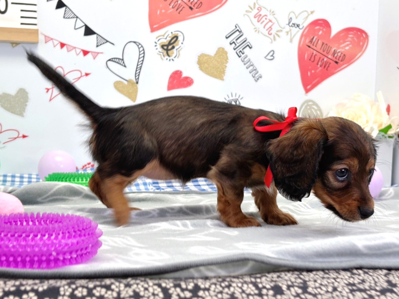 赤ちゃん写真2-2