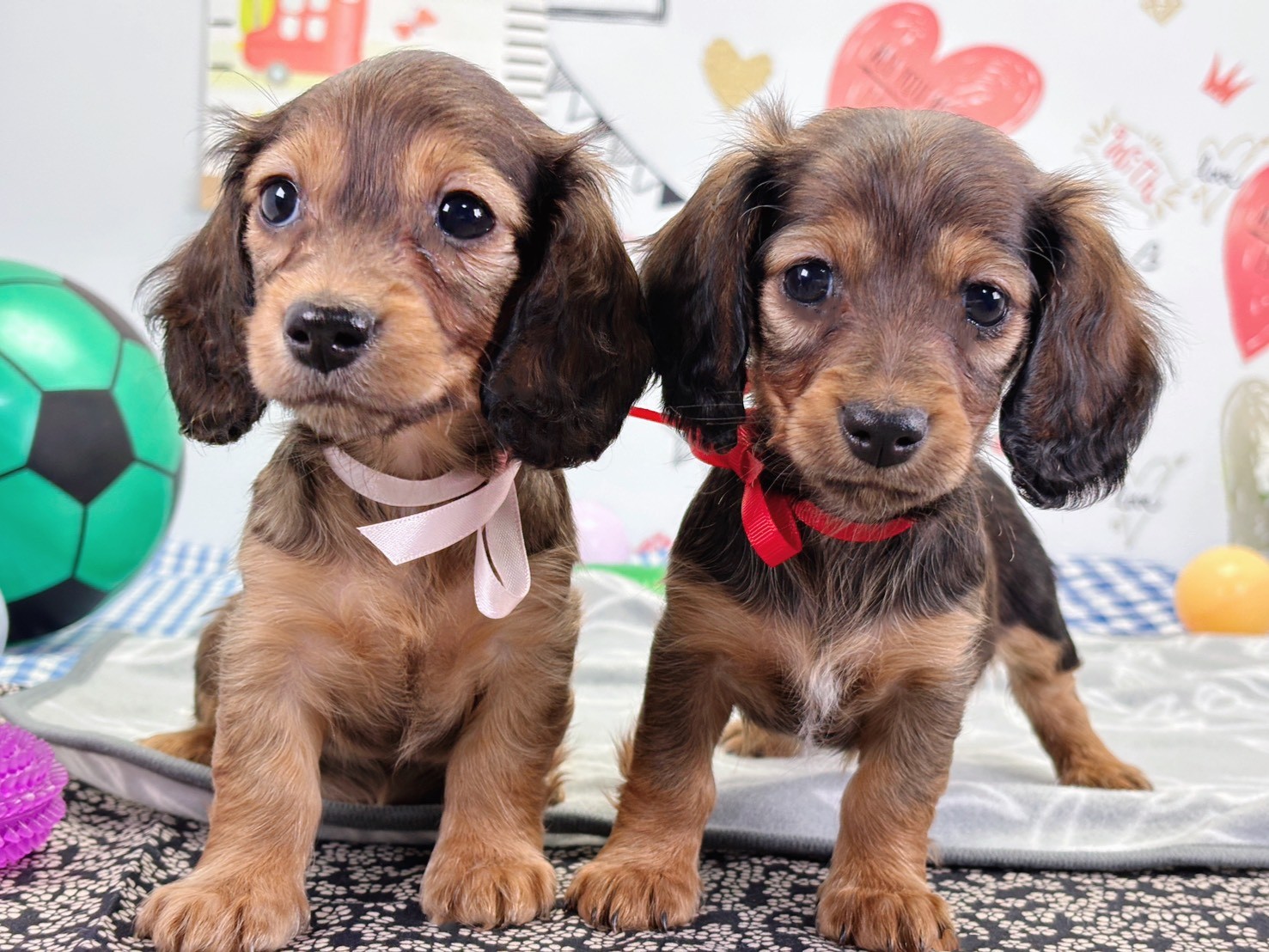 赤ちゃん写真2-3