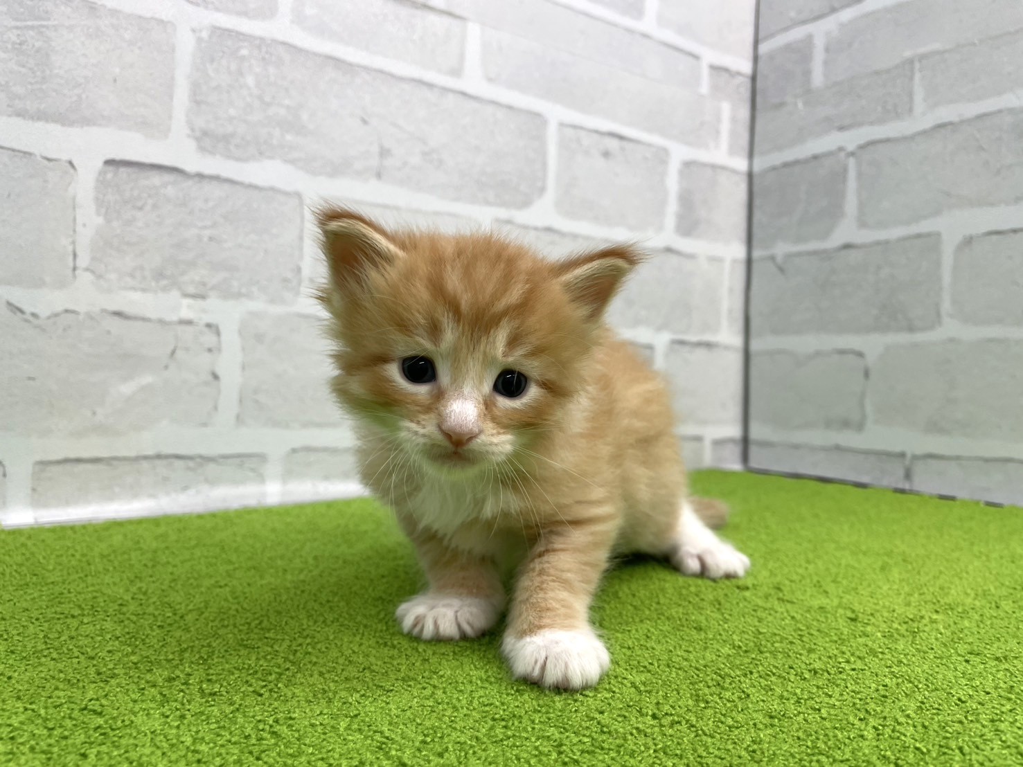 赤ちゃん写真2-1