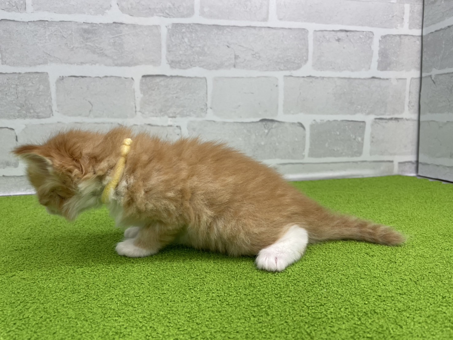 赤ちゃん写真2-2