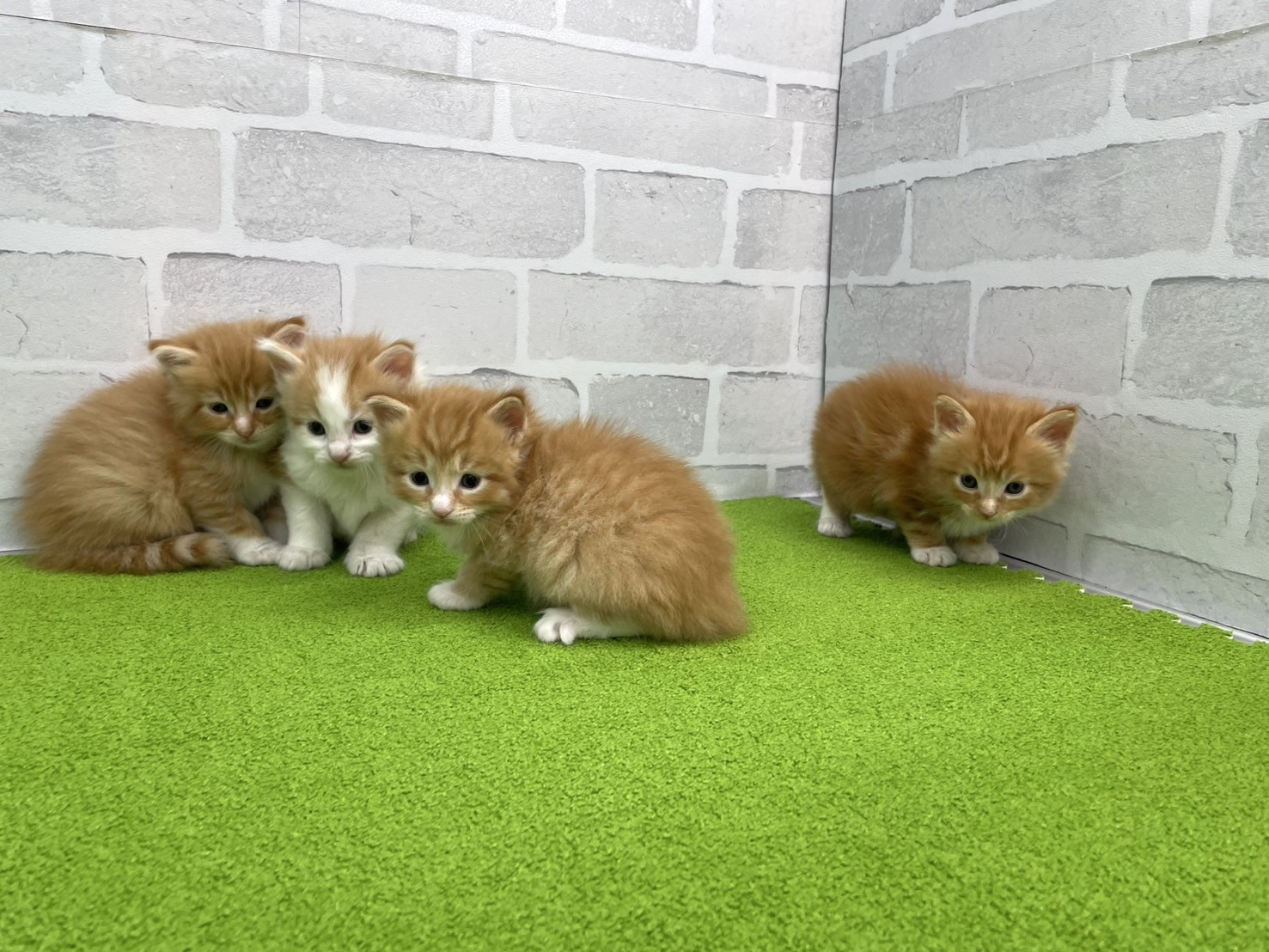 赤ちゃん写真2-3