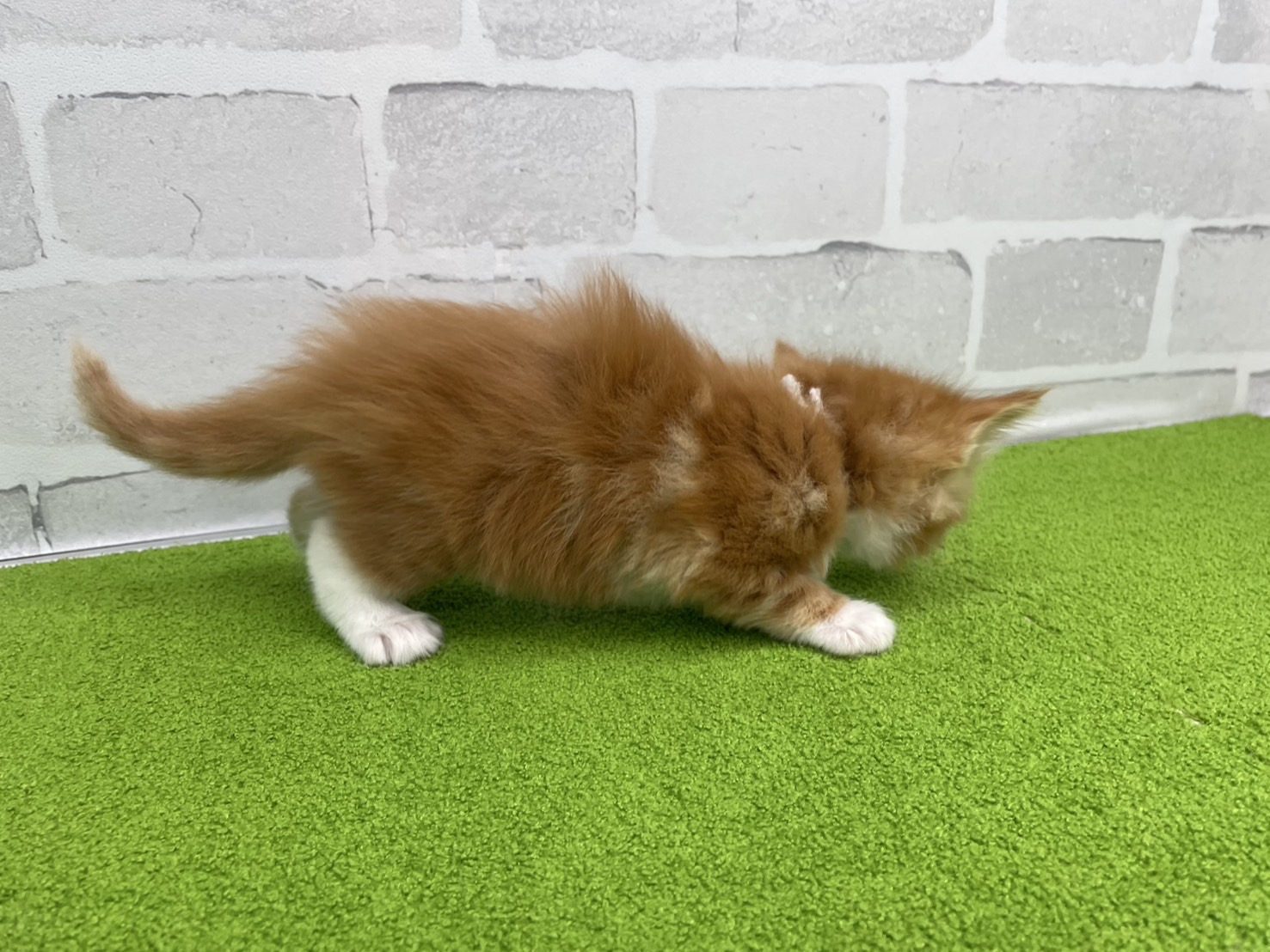 赤ちゃん写真2-2