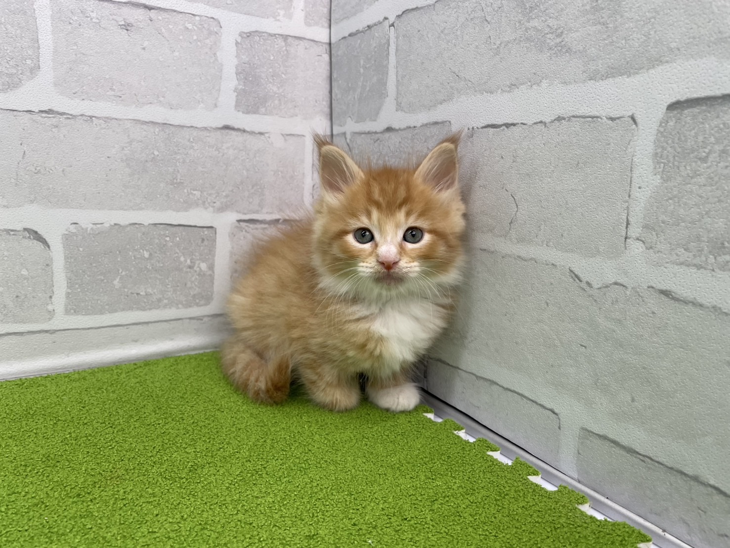 赤ちゃん写真3-1