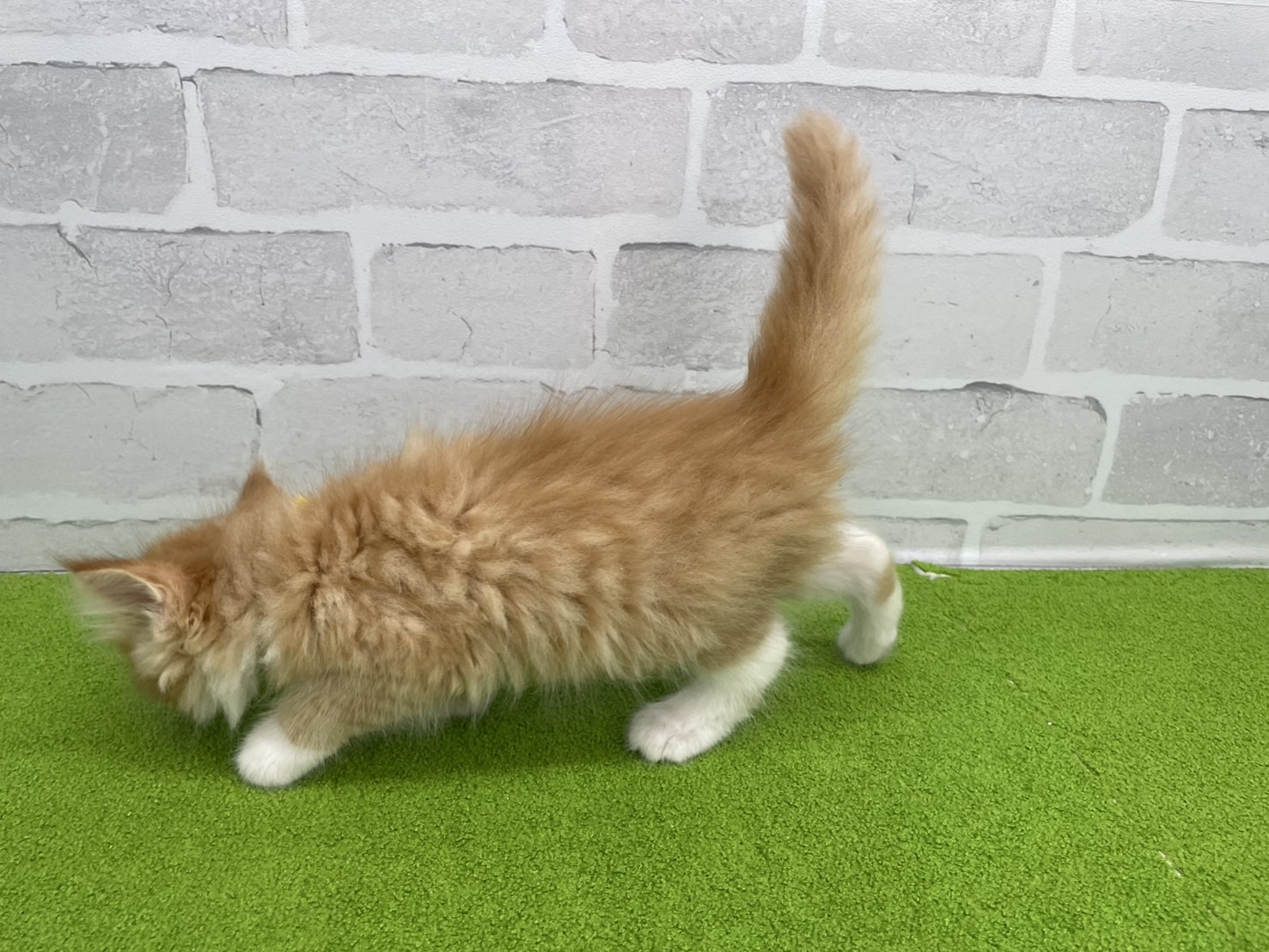 赤ちゃん写真3-2