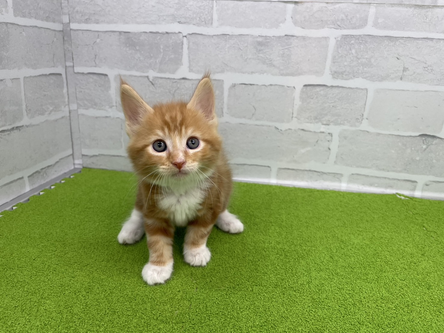 赤ちゃん写真3-1